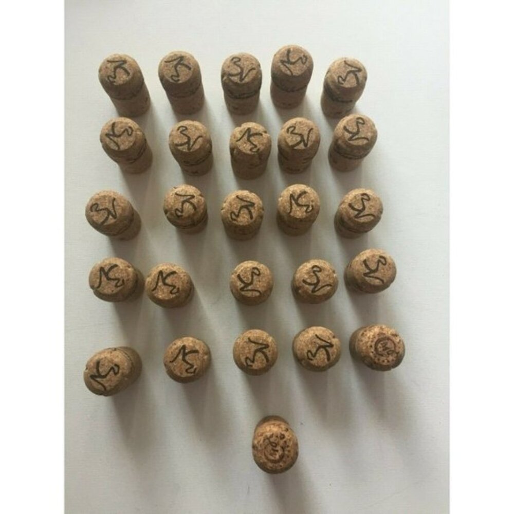 Lot of 26 Champagne Corks Real Printed Recycled Art Craft USED